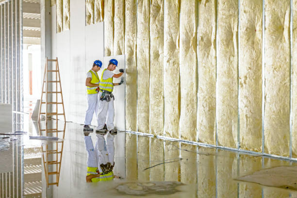 Best Residential Insulation in Phoenixville, PA